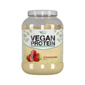 Vegan Protein 900g - VITERNA - VIVP9S